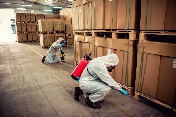 Best Exterminator Services  in Bull Mountain, OR