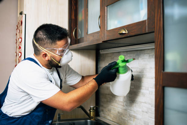 Best Cockroach Control Services  in Bull Mountain, OR