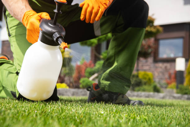 Best Pest Prevention Services  in Bull Mountain, OR