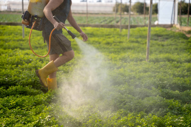 Best Pest Control Near Me  in Bull Mountain, OR